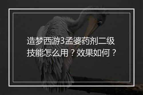 造梦西游3孟婆药剂二级技能怎么用？效果如何？