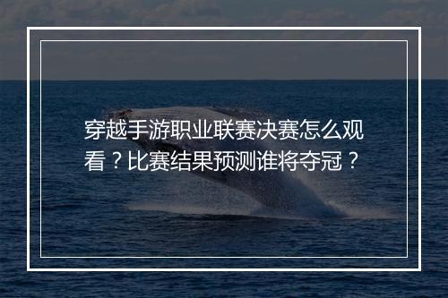 穿越手游职业联赛决赛怎么观看?比赛结果预测谁将夺冠?