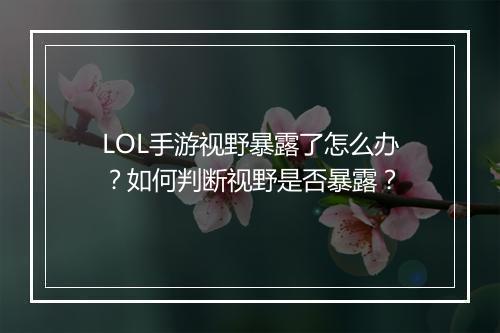 LOL手游视野暴露了怎么办?如何判断视野是否暴露?