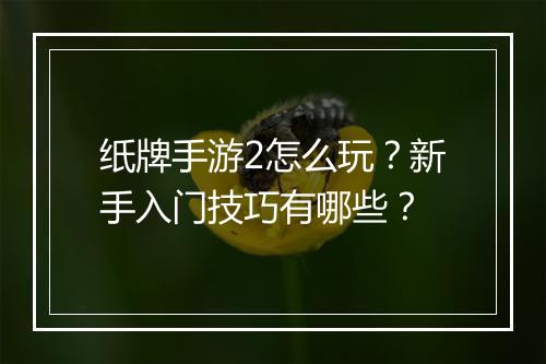 纸牌手游2怎么玩?新手入门技巧有哪些?