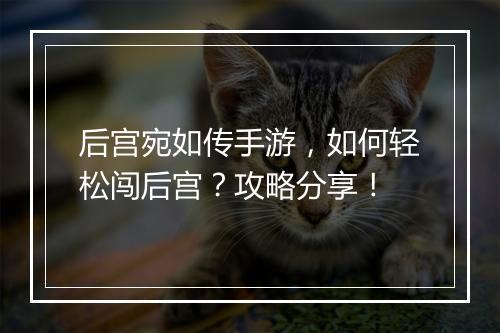 后宫宛如传手游,如何轻松闯后宫?攻略分享!