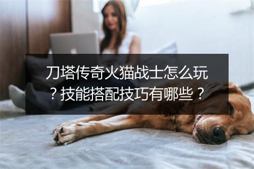 刀塔传奇火猫战士怎么玩？技能搭配技巧有哪些？