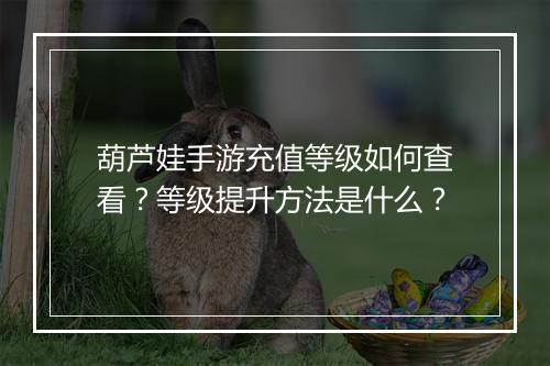 葫芦娃手游充值等级如何查看?等级提升方法是什么?