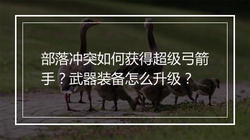 部落冲突如何获得超级弓箭手?武器装备怎么升级?