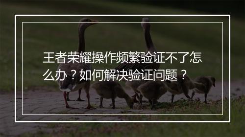 王者荣耀操作频繁验证不了怎么办?如何解决验证问题?