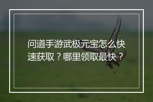 问道手游武极元宝怎么快速获取?哪里领取最快?