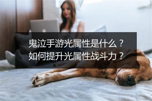 鬼泣手游光属性是什么?如何提升光属性战斗力?