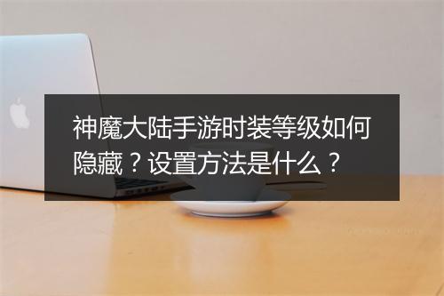 神魔大陆手游时装等级如何隐藏?设置方法是什么?