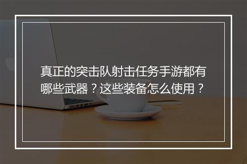真正的突击队射击任务手游都有哪些武器?这些装备怎么使用?