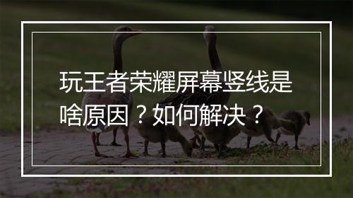 玩王者荣耀屏幕竖线是啥原因?如何解决?
