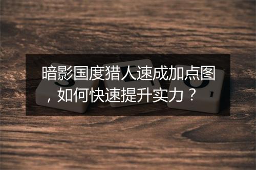 暗影国度猎人速成加点图，如何快速提升实力？
