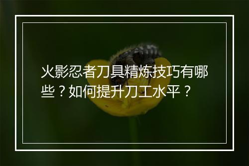 火影忍者刀具精炼技巧有哪些?如何提升刀工水平?