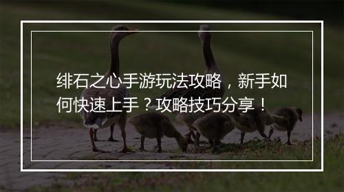 绯石之心手游玩法攻略,新手如何快速上手?攻略技巧分享!