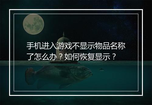 手机进入游戏不显示物品名称了怎么办?如何恢复显示?