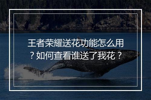 王者荣耀送花功能怎么用?如何查看谁送了我花?