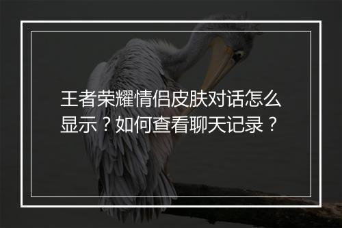 王者荣耀情侣皮肤对话怎么显示？如何查看聊天记录？