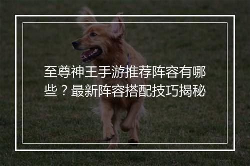 至尊神王手游推荐阵容有哪些？最新阵容搭配技巧揭秘