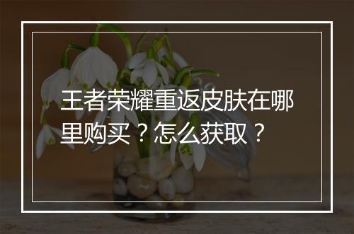 王者荣耀重返皮肤在哪里购买?怎么获取?