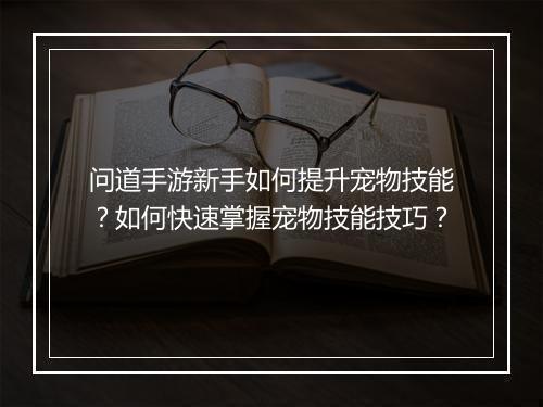 问道手游新手如何提升宠物技能?如何快速掌握宠物技能技巧?