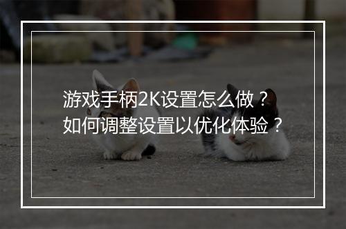 游戏手柄2K设置怎么做？如何调整设置以优化体验？