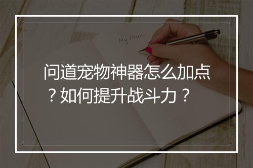 问道宠物神器怎么加点?如何提升战斗力?