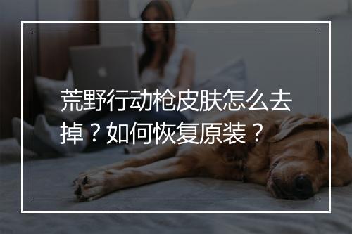 荒野行动枪皮肤怎么去掉？如何恢复原装？
