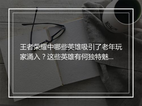 王者荣耀中哪些英雄吸引了老年玩家涌入?这些英雄有何独特魅力?
