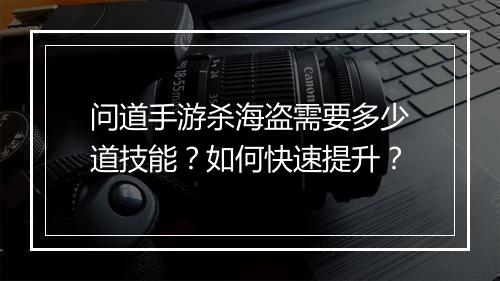 问道手游杀海盗需要多少道技能？如何快速提升？