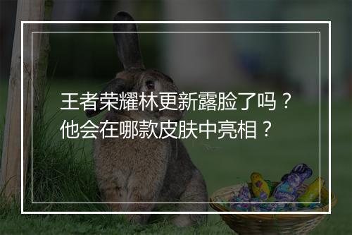 王者荣耀林更新露脸了吗?他会在哪款皮肤中亮相?