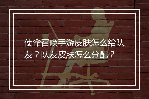 使命召唤手游皮肤怎么给队友?队友皮肤怎么分配?
