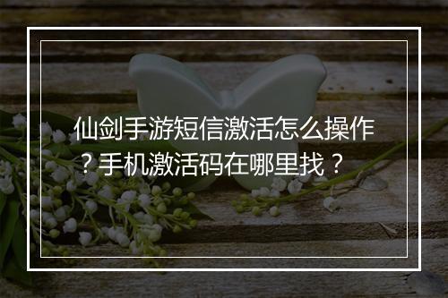 仙剑手游短信激活怎么操作?手机激活码在哪里找?
