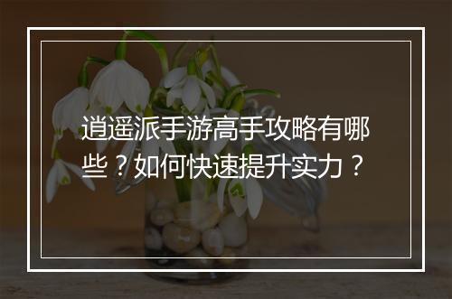 逍遥派手游高手攻略有哪些?如何快速提升实力?