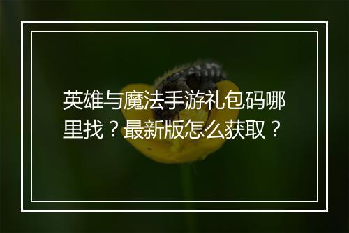英雄与魔法手游礼包码哪里找?最新版怎么获取?