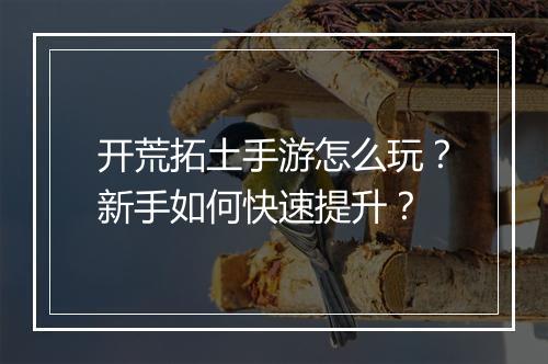 开荒拓土手游怎么玩?新手如何快速提升?