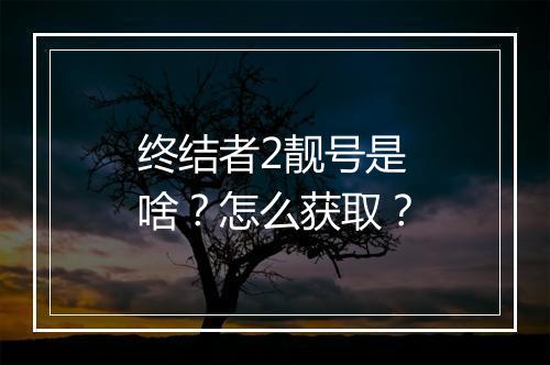 终结者2靓号是啥?怎么获取?