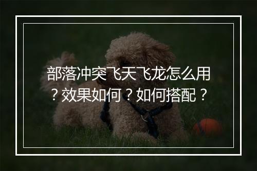 部落冲突飞天飞龙怎么用？效果如何？如何搭配？