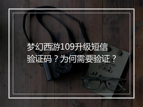 梦幻西游109升级短信验证码?为何需要验证?