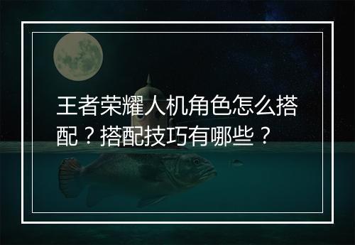 王者荣耀人机角色怎么搭配?搭配技巧有哪些?