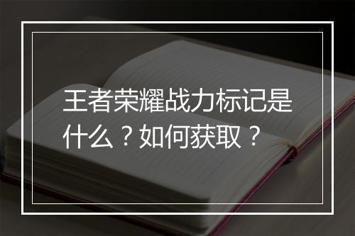 王者荣耀战力标记是什么?如何获取?