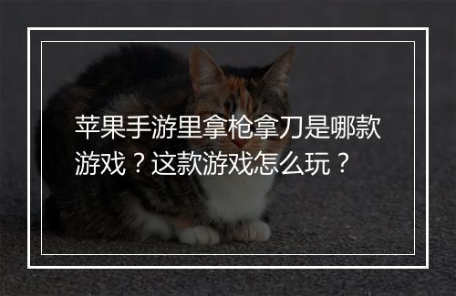 苹果手游里拿枪拿刀是哪款游戏?这款游戏怎么玩?