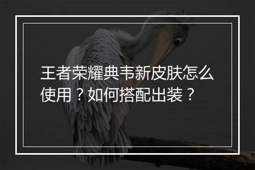 王者荣耀典韦新皮肤怎么使用?如何搭配出装?