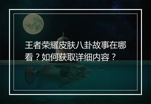 王者荣耀皮肤八卦故事在哪看?如何获取详细内容?