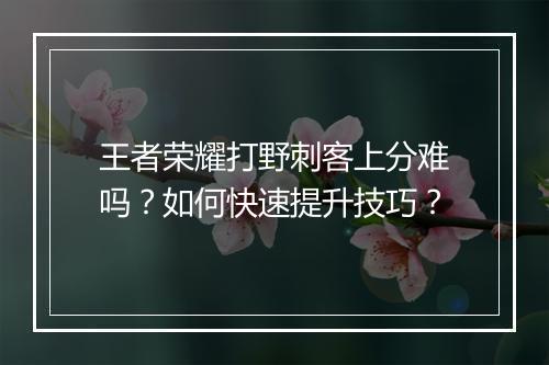 王者荣耀打野刺客上分难吗?如何快速提升技巧?