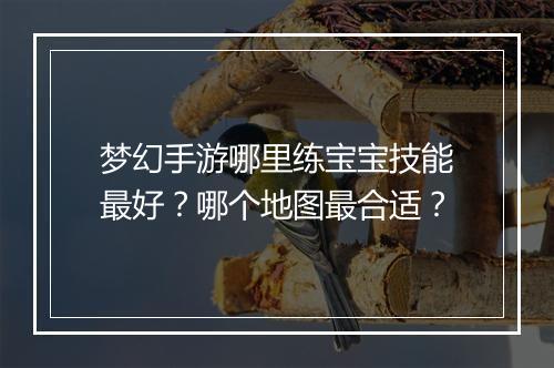 梦幻手游哪里练宝宝技能最好?哪个地图最合适?