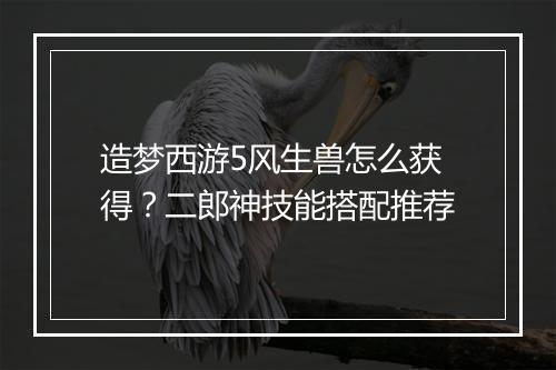 造梦西游5风生兽怎么获得？二郎神技能搭配推荐