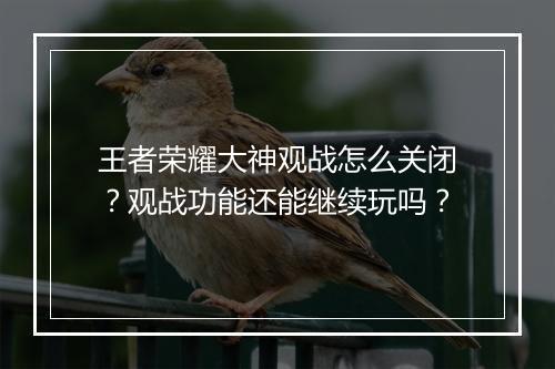 王者荣耀大神观战怎么关闭?观战功能还能继续玩吗?