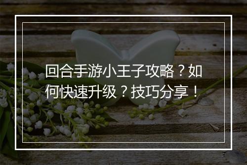 回合手游小王子攻略?如何快速升级?技巧分享!