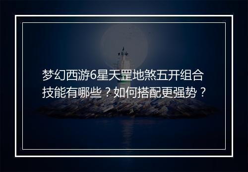 梦幻西游6星天罡地煞五开组合技能有哪些?如何搭配更强势?