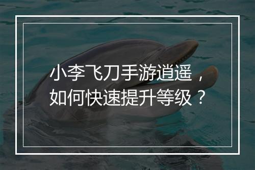 小李飞刀手游逍遥,如何快速提升等级?