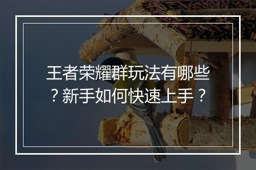 王者荣耀群玩法有哪些?新手如何快速上手?